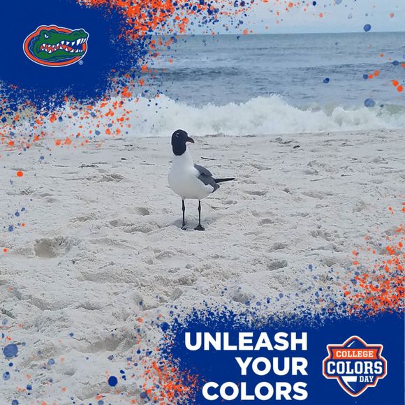 Meet your Posher, Eric - Picture 1 of 1